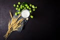 Glass of beer with green hops and wheat ears on dark wooden background. Still life. Copy space Royalty Free Stock Photo