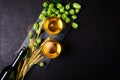 Glass of beer with green hops and wheat ears on dark wooden background. Still life. Copy space Royalty Free Stock Photo