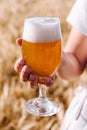 glass of beer in hand against the background of wheat field Royalty Free Stock Photo