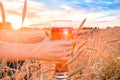 A glass of beer in a hand in a wheat field Royalty Free Stock Photo