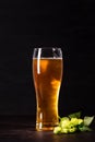 Glass of beer with hop cones on dark wooden background. October fest background Royalty Free Stock Photo