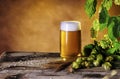 Glass of beer, hop cones, ears of barley Royalty Free Stock Photo