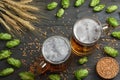 Glass beer with hop cones and wheat ears on dark wooden background. Beer brewery concept. Beer background. Top View