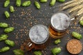 Glass beer with hop cones and wheat ears on dark wooden background. Beer brewery concept. Beer background. Top View Royalty Free Stock Photo