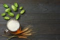 Glass beer with hop cones and wheat ears on dark wooden background. Beer brewery concept. Beer background. top view