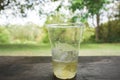 Glass of beer with ice on wooden table Royalty Free Stock Photo