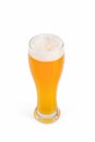 Glass of beer isolated, clipping path Royalty Free Stock Photo