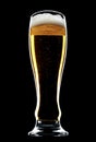 Glass of beer isolated over a black background Royalty Free Stock Photo