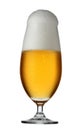 Glass beer isolated on white background Royalty Free Stock Photo