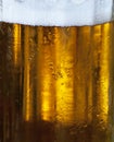 Glass of beer macro