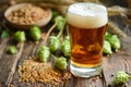 A glass of beer next to a bowl of hops and barley. Generative AI Royalty Free Stock Photo