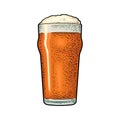 Glass with beer. Vintage color vector engraving illustration Royalty Free Stock Photo