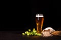 Glass of beer with wheat and hop cones on dark wooden background. October fest background Royalty Free Stock Photo