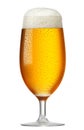 Glass of beer Royalty Free Stock Photo