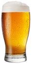 Glass of beer on white background. Royalty Free Stock Photo