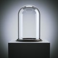 Glass bell with wooden base. 3d rendering