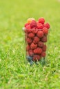 A glass of berries stands on the grass