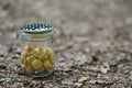 Glass of biscuits in the nature