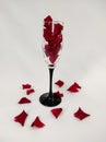 Glass On A Black Stem Filled With Petals Of A Dark Red Rose On A White Background With Petals