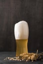 glass blonde beer with foam. High quality photo Royalty Free Stock Photo