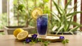 Glass of Blue Butterfly pea flower juice drinking and lemon fruit sliced Royalty Free Stock Photo