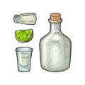 Glass, botlle tequila. Cactus, salt, lime. Vintage color vector engraving