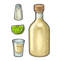 Glass, botlle tequila. Cactus, salt, lime. Vintage color vector engraving