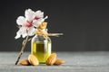 Glass bottle of Almond oil and almond nuts , almonds with almond tree flowers on table