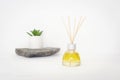 Glass bottle of aroma diffuser on a white background, potted plant on natural stone. Minimal design home interior Royalty Free Stock Photo