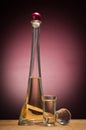 Glass and bottle of brandy Royalty Free Stock Photo