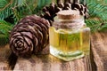 Glass bottle with cedar oil, pine nuts, cedar essential oil Royalty Free Stock Photo