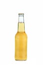 Glass bottle of cold beer Royalty Free Stock Photo