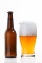 Glass and bottle of cold beer Royalty Free Stock Photo