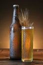 Glass and bottle of cold beer Royalty Free Stock Photo