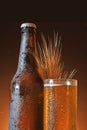 Glass and bottle of cold beer Royalty Free Stock Photo