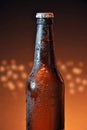 Glass and bottle of cold beer Royalty Free Stock Photo