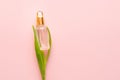 Glass bottle with cosmetic oil on green stem on pink background with a copy space