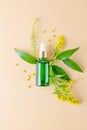 Glass bottle with cosmetic oils with yellow spring flowers. Bottles with serum or essential oil on a beige background