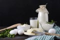 Cow`s milk, cottage cheese in a plate, sour cream in a gravy boat, soft cheese, sprigs of parsley on a dark background, white egg Royalty Free Stock Photo