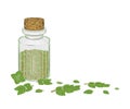 Glass bottle with dry oregano leaves Royalty Free Stock Photo