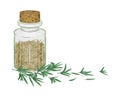 Glass bottle with dry rosemary leaves Royalty Free Stock Photo