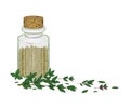 Glass bottle with dry thyme leaves Royalty Free Stock Photo