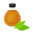 Glass Bottle with Essential Oil of Sandalwood and Leafy Tree Branch Rested Nearby Vector Illustration