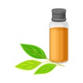 Glass Bottle with Essential Oil of Sandalwood and Leafy Tree Branch Rested Nearby Vector Illustration