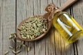 Glass bottle of fennel essential oil with fennel seeds in wooden spoon on wooden table Royalty Free Stock Photo
