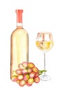 Glass and bottle filled with white wine and branch of pink grapes Royalty Free Stock Photo
