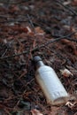 Glass Bottle in the forest. Trash or Garbage thrown in the forest. The problem of ecology and nature pollution.