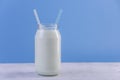 Glass bottle of fresh milk with two straws on blue background. Colorful minimalism. Healthy dairy products Royalty Free Stock Photo