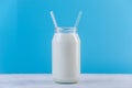 Glass bottle of fresh milk with two straws on blue background. Colorful minimalism. Healthy dairy products Royalty Free Stock Photo