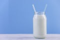 Glass bottle of fresh milk with two straws on blue background. Colorful minimalism. Healthy dairy products Royalty Free Stock Photo